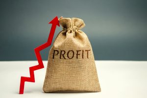 Blogs 1 finance profit