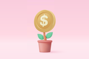 Raising capital and funding for a startup.